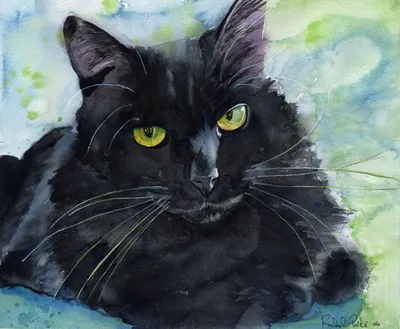 Трёхцветная кошка — Википедия