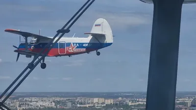 Американец с борта самолета снял на видео НЛО - TOPNews.RU