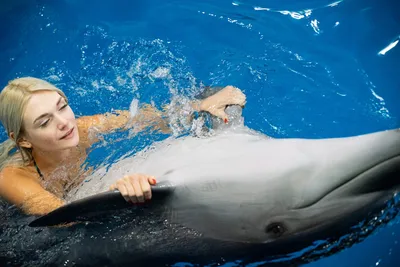 🐬 ! К0НКYРС ! 🐬 Хотите фото с дельфином ? Дарим уникальную возможность  пообщаться с дельфинами и сделать.. | ВКонтакте