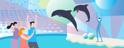 Игра с дельфинами
