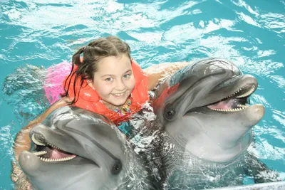 После представления у Вас есть уникальная возможность сфотографироваться с  дельфинами. Фотографирование с дельфинами-афалинами оставит у… | Instagram