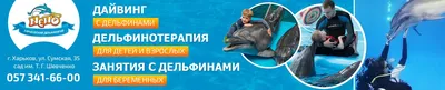 Дельфинарий НЕМО , Бердянск - «Если вы не видели дельфинов или ищете как  развлечься - сходите в дельфинарий. Масса положительных эмоций обеспечена!?  » | отзывы