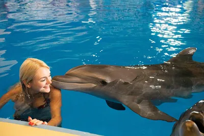 Фото с дельфинами - Дельфинарий Набережные Челны