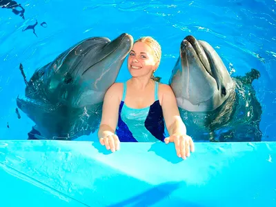 Фото с дельфинами в воде 