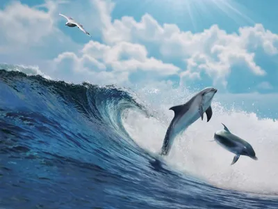 Картина \"Дельфины у кромки воды\" | Интернет-магазин картин \"АртФактор\"