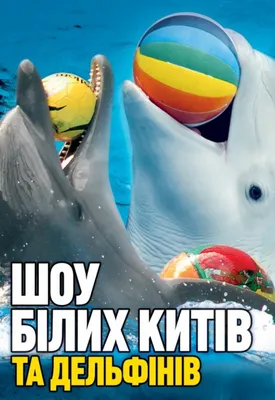 Алуштинский дельфинарий \"Немо\", Алушта - «?Теперь мечтаю плавать с  дельфинами ? Я прямо завидовала дрессировщикам и так хотела на их место!  ???? » | отзывы
