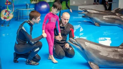 В одесском дельфинарии «Немо» дельфин укусил мальчика за руку - Информатор  Украина