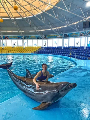Дельфинарий Немо | Пхукет - Водные развлечения вместе с VillaCarte