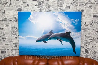 Дельфины. Море. 50х80 см. Фото на холсте. (ID#749306709), цена: 500 ₴,  купить на Prom.ua