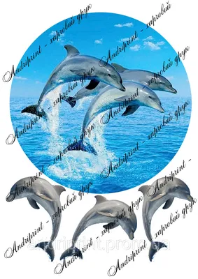 Фольгированный шар Синий дельфин купить в Москве с доставкой: цена, фото,  описание | Артикул: 902883A