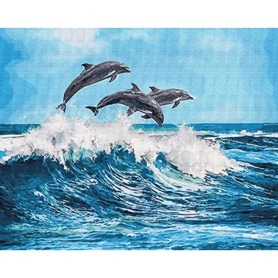 Дельфинарий Набережные Челны - отдых и эмоции для всей семьи