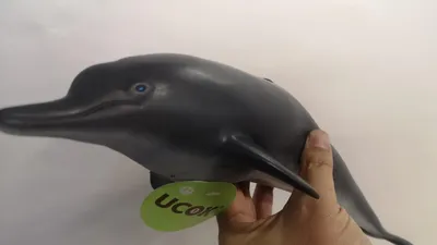 Картина по номерам Цветной Дельфины над волной 40x50 см купить по цене 1530  ₽ в интернет-магазине Детский мир