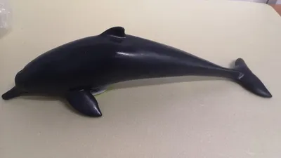 Моющиеся виниловые фотообои Подводный мир. Дельфины, 211х150 см - купить по  выгодной цене в интернет-магазине OZON (272694816)