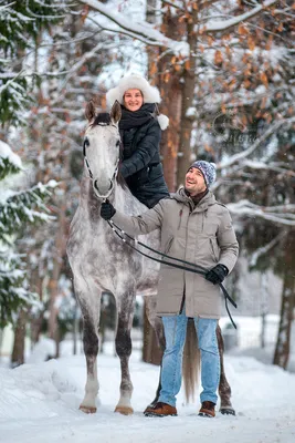 Статьи, Зима и лошади: о главном | Prokoni.ru