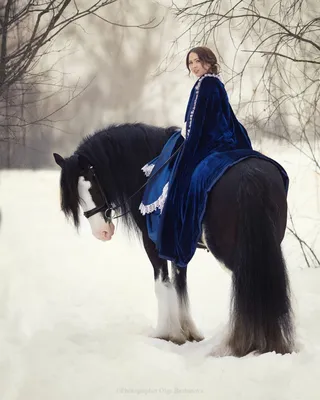 Лошадь зимой в лесу бежит. эстетика» — создано в Шедевруме