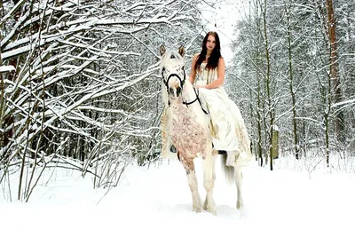 Лошадь зимой» — создано в Шедевруме
