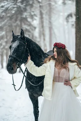 Лошади зимой | Содержание лошадей в частном хозяйстве | Дзен