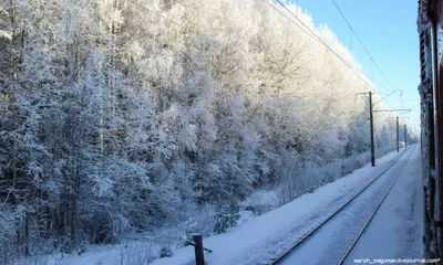Зимняя Россия из окна поезда.