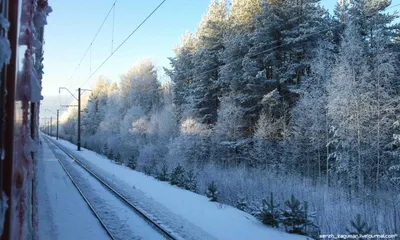 Зимняя Россия из окна поезда.