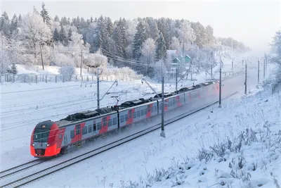 Поезд в снежном лесу - 75 фото