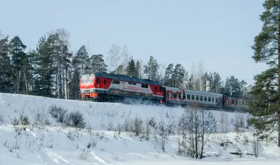 Вертикальный Снимок Поезда Излучающего Дым Лесу Зимой стоковое фото  ©Wirestock 447960080