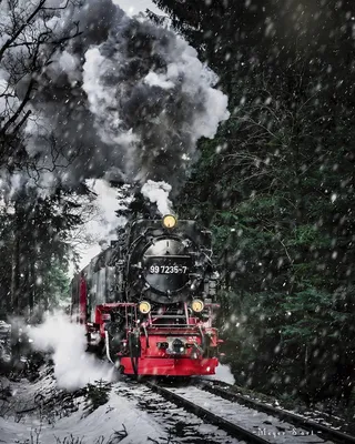 железная дорога :: поезд :: зима :: горы :: лес :: Природа :: Канада ::  страны - JoyReactor