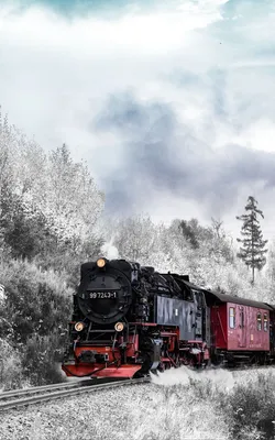 Путешествие на поезде по Казахстану зимой: лучшие места и советы -  «Кызылординские Вести»
