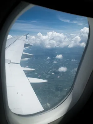 Вид из окна самолета днем - 47 фото