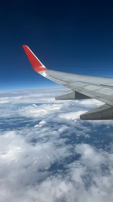 Вид из самолета днем в 2023 г | Вид, Самолет
