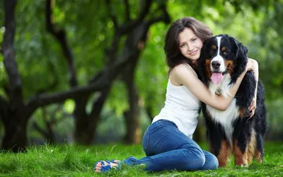 Девушка с собакой в парке стоковое фото. изображение насчитывающей мило -  57977798