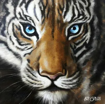 Купить картину Тигр в Москве от художника Рослик Евгения
