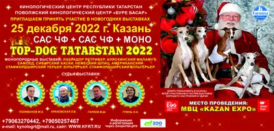 ФОТОФАКТ. Выставка собак прошла в Минске