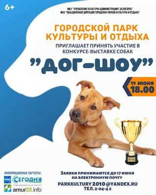 В Туле прошла выставка собак всех пород: фоторепортаж - Новости Тулы и  области - MySlo.ru