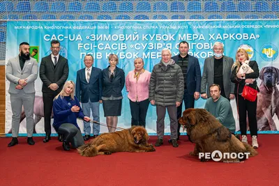 Праздник для животных и людей. В Бишкеке состоялись выставки собак - | 24.KG