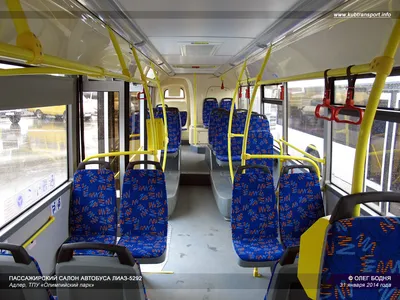 транспорт автобусы салон автобуса | Hello kitty картинки, Дождливые дни,  Автобус