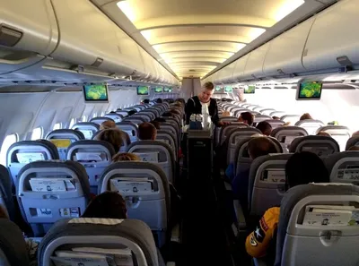 Классы перелета в самолете: эконом, комфорт, бизнес, первый | Пикабу