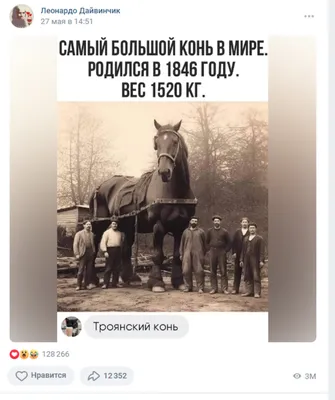 Снимок самого большого коня в истории оказался фейком - скрин