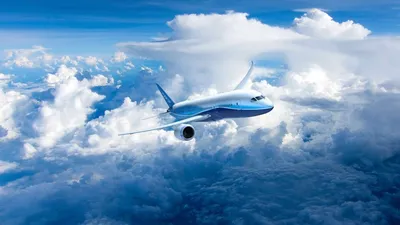 Небо, самолет, стюардесса: права и обязанности при перелете | Ассоциация  Туроператоров