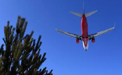 Самый необычный туристический самолет России отметил год в небе |  Ассоциация Туроператоров