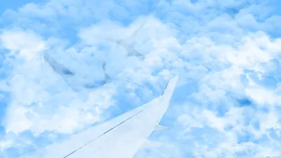 Самолет в осеннем небе - 66 фото