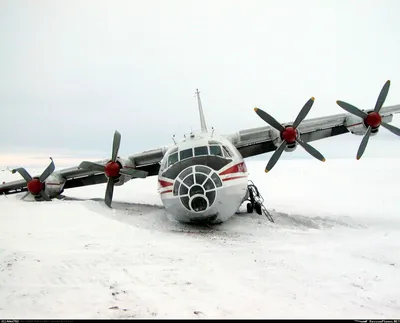 Самолет Ан-12 разбился под Иркутском - KP.RU