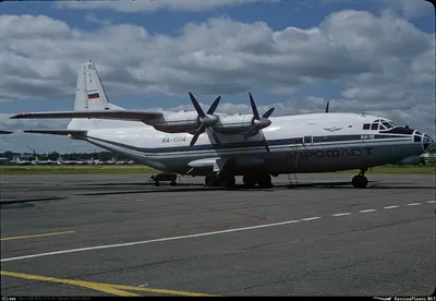 Крушение самолета Ан-12 в Иркутской области 3 ноября 2021: есть погибшие -  KP.RU