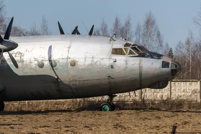 Восемь украинцев были членами экипажа украинского самолета Ан-12,  разбившегося в Греции