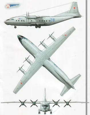 Подробности об аварийной посадке Ан-12 в Кольцово: важное к этому часу:  Общество: Облгазета