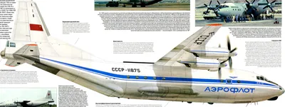 Модель самолета Ан-12 (М1:100, Аэрофлот СССР-11001) – купить в  интернет-магазине, цена, заказ online