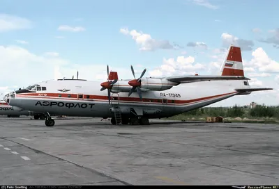 Аренда самолета Антонов Ан 12 - цены, авиаперевозки на грузовом самолете  Антонов Ан 12