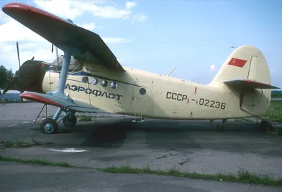 В Магадане самолет Ан-2 разбился при взлете - AEX.RU