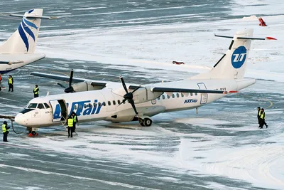 Птичий удар: самолет ATR 72-500 поврежден стайкой птиц