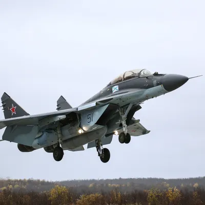 Истребитель МиГ-29: летно-технические характеристики - РИА Новости,  03.03.2020