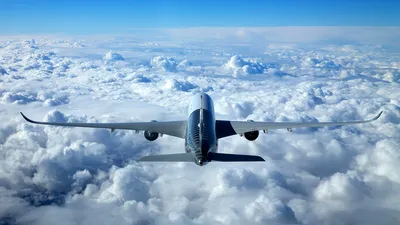 Фотографии, которые ни один пассажир самолета не хотел бы увидеть после  своего приземления (16 фото) » Невседома